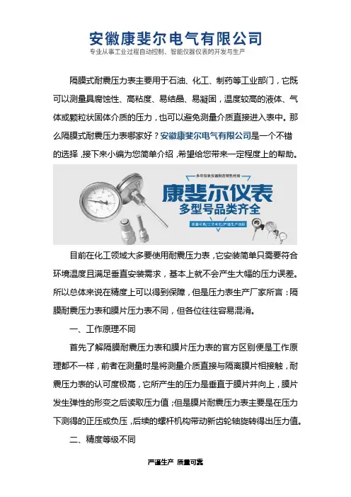 隔膜式、隔膜式耐震压力表