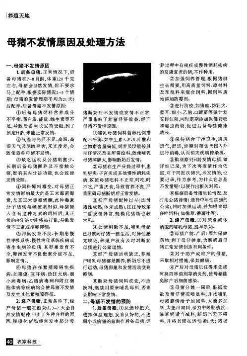 母猪不发情原因及处理方法