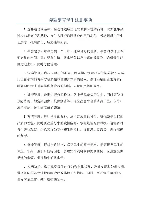 养殖繁育母牛注意事项