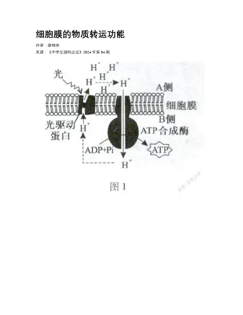 细胞膜的物质转运功能