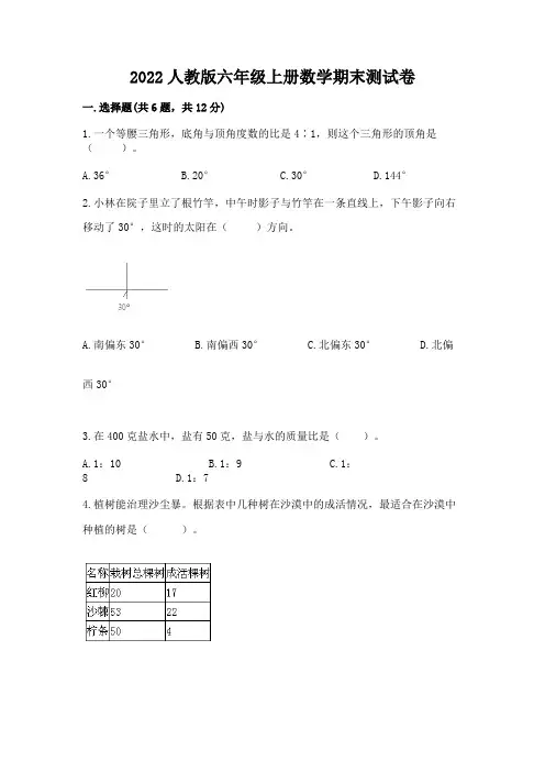 2022人教版六年级上册数学期末综合卷含解析答案