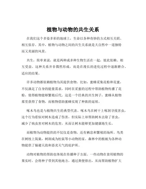 植物与动物的共生关系