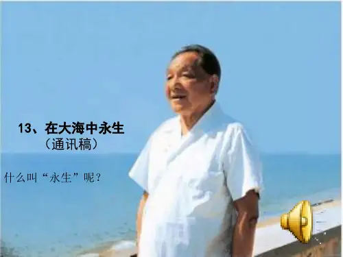 13在大海中永生PPT