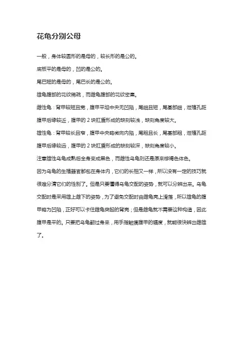 花龟分别公母