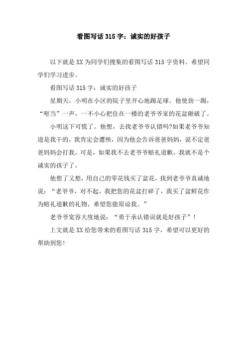 看图写话315字：诚实的好孩子