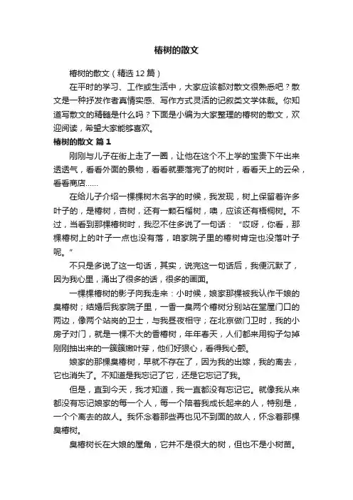 椿树的散文（精选12篇）