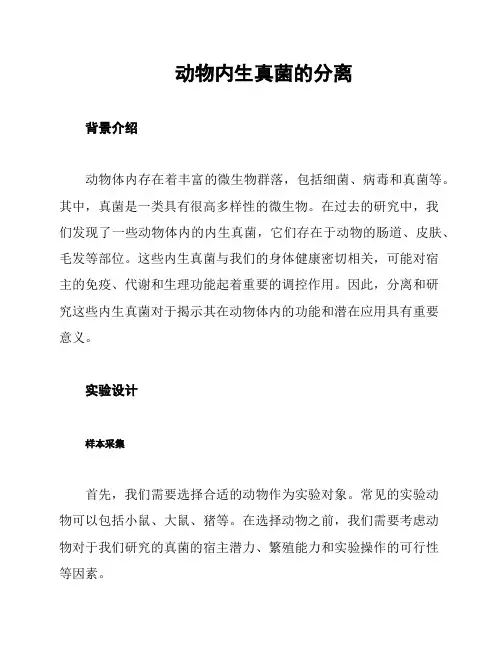 动物内生真菌的分离