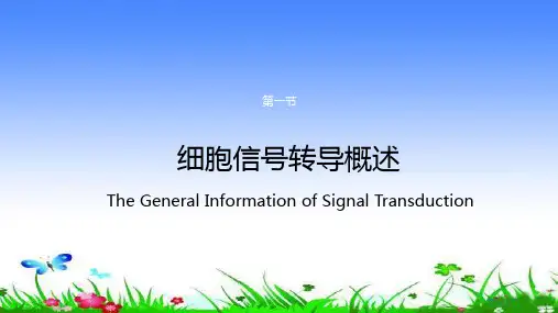 细胞信号转导概述