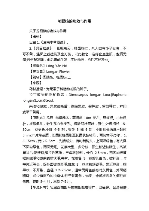 龙眼核的功效与作用