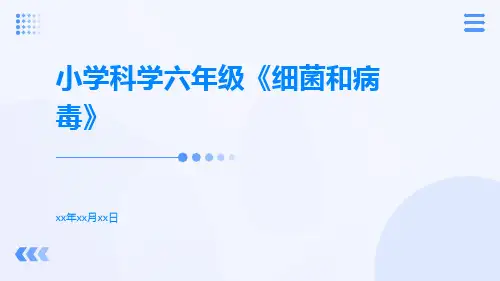 小学科学六年级《细菌和病毒》
