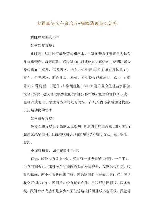 大猫瘟怎么在家治疗-猫咪猫瘟怎么治疗