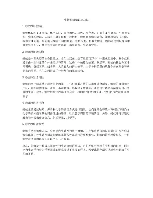 生物蚂蚁知识点总结