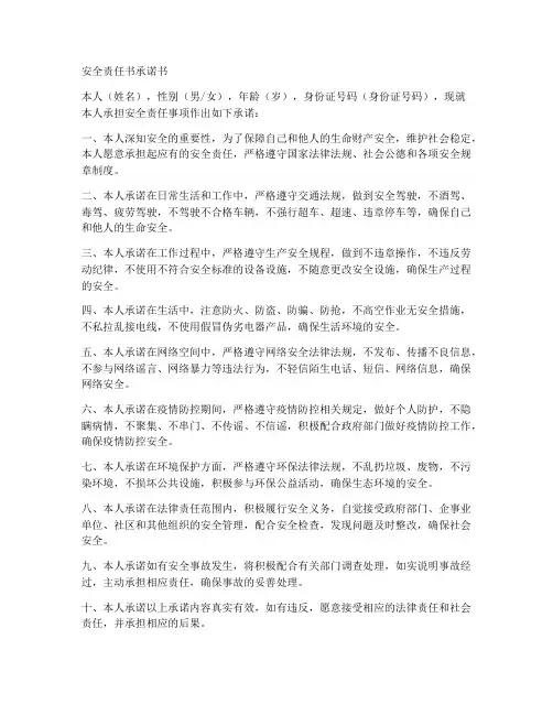 自己承担安全责任书承诺书