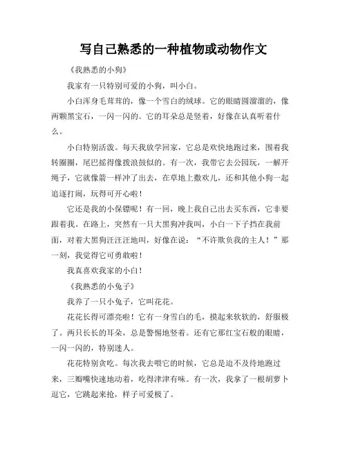 写自己熟悉的一种植物或动物作文