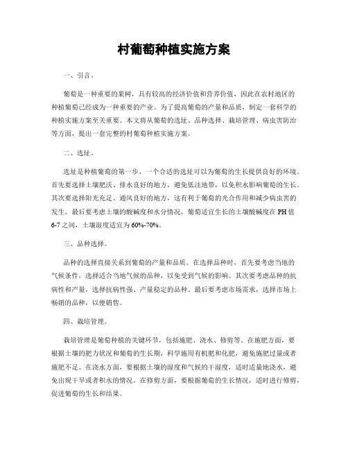 村葡萄种植实施方案
