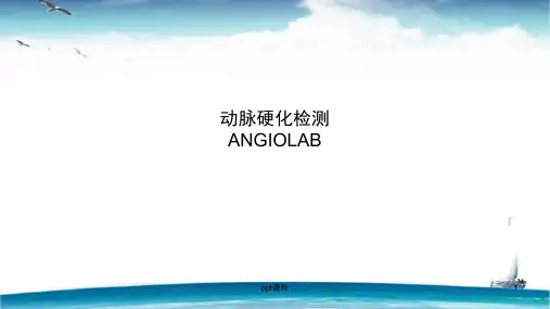 动脉硬化检测  ppt课件