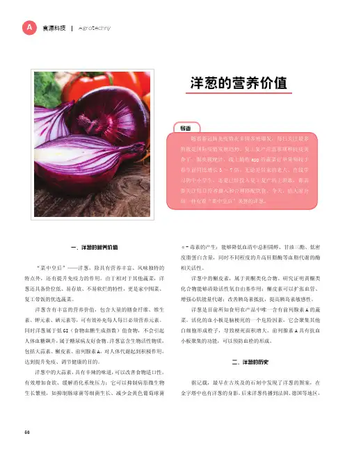 洋葱的营养价值