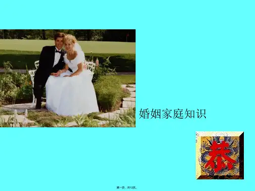 婚姻法(共12张PPT)