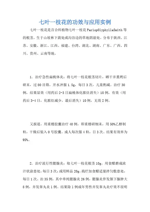 七叶一枝花的功效与应用实例