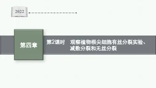 苏教版   必修一  观察植物根尖细胞有丝分裂实验、减数分裂和无丝分裂(46张)课件