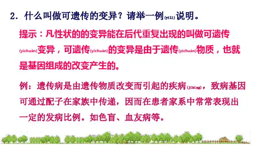 北师大版八年级上册第六单元第节遗传病和人类健康课件