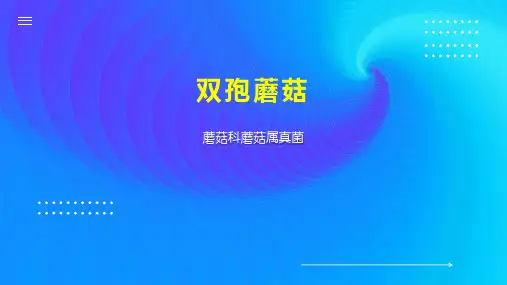 双孢蘑菇    