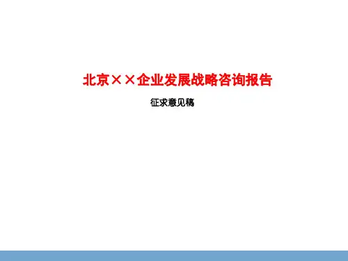 北京xx公司发展战略咨询报告