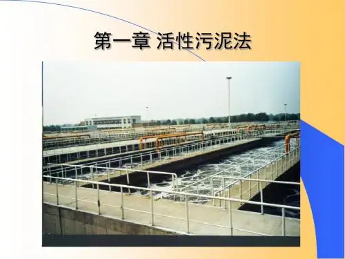 第一章活性污泥法1 33页PPT文档