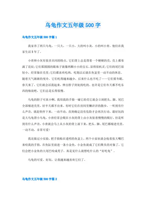 乌龟作文五年级500字