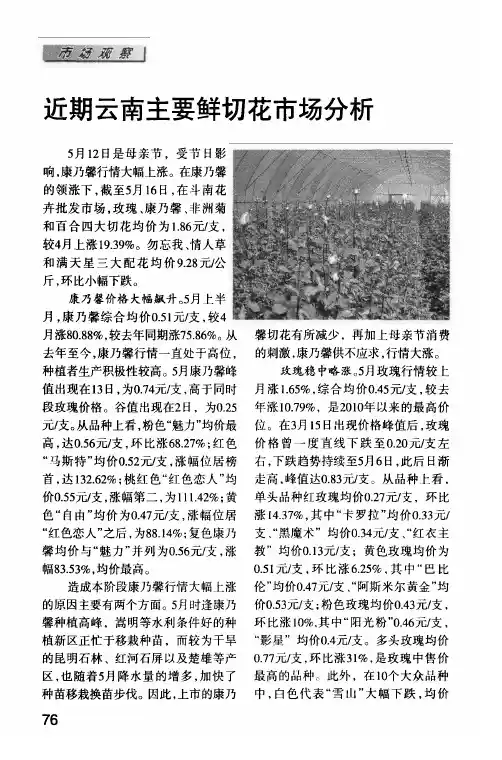 近期云南主要鲜切花市场分析