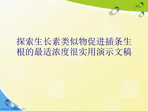 探索生长素类似物促进插条生根的最适浓很实用演示文稿