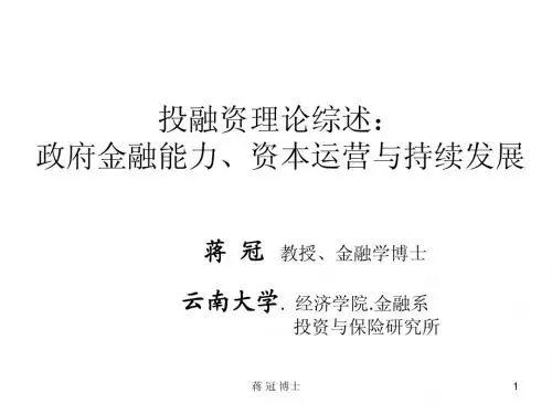 投融资综述_政府金融能力-蒋冠云大教授