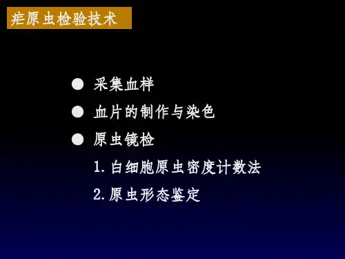 疟原虫检验技术