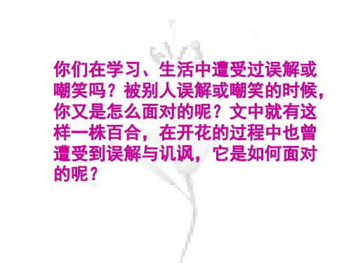 七年级语文百合花开(PPT)5-5