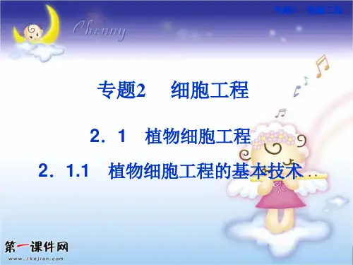 植物细胞工程的基本技术  公开课