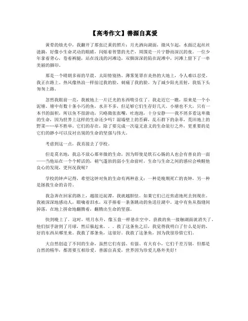 【高考作文】善源自真爱