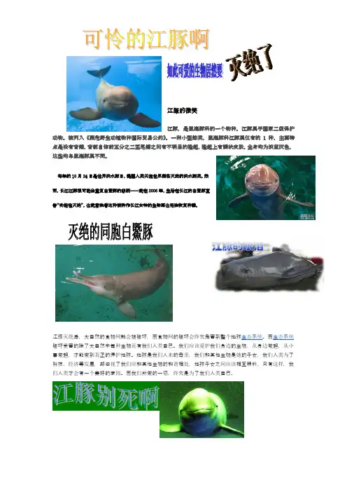 保护江豚小报