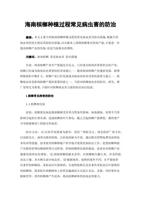 海南槟榔种植过程常见病虫害的防治