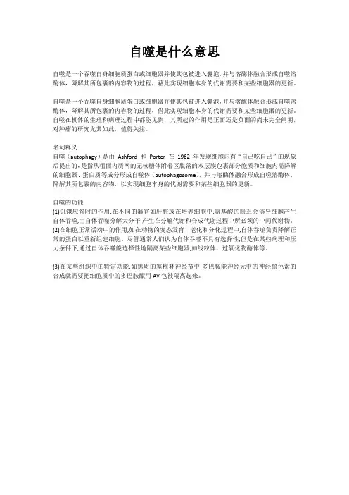 自噬是什么意思