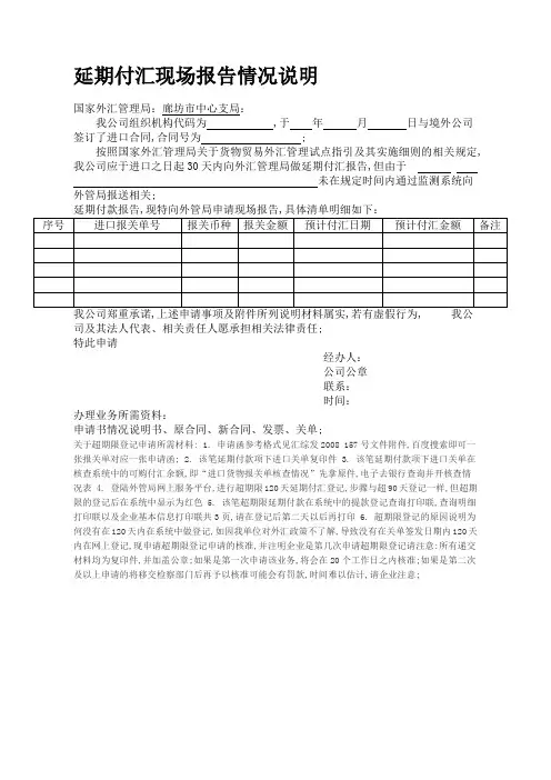 延期付汇现场报告情况说明