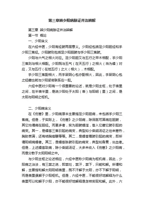 第三章辨少阳病脉证并治辨解