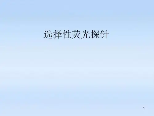 选择性荧光探针分析PPT课件