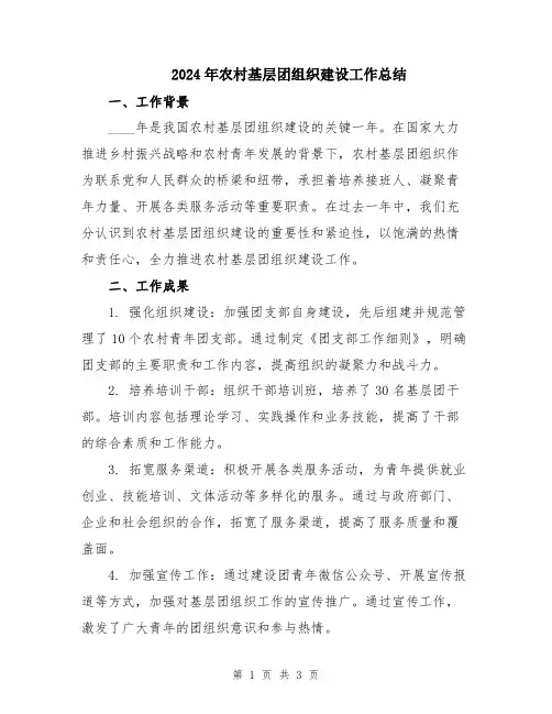 2024年农村基层团组织建设工作总结