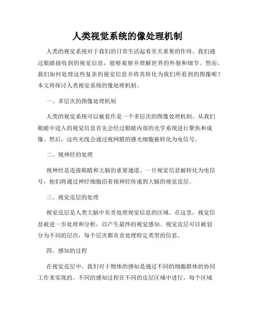人类视觉系统的像处理机制