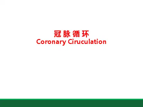 冠脉循环课件