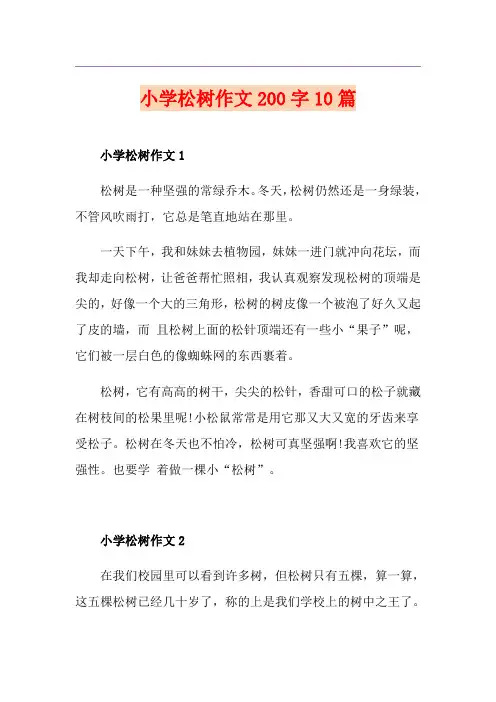 小学松树作文200字10篇