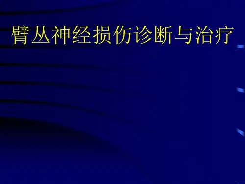 臂丛神经损伤的诊断与治疗