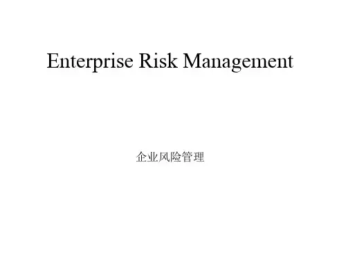 企业风险管理(中英文)