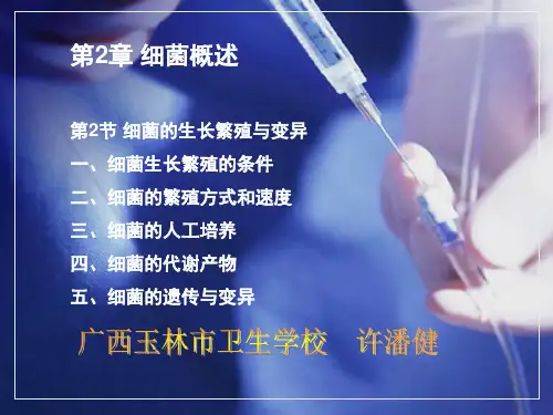 3细菌概述：细菌的生长繁殖与变异