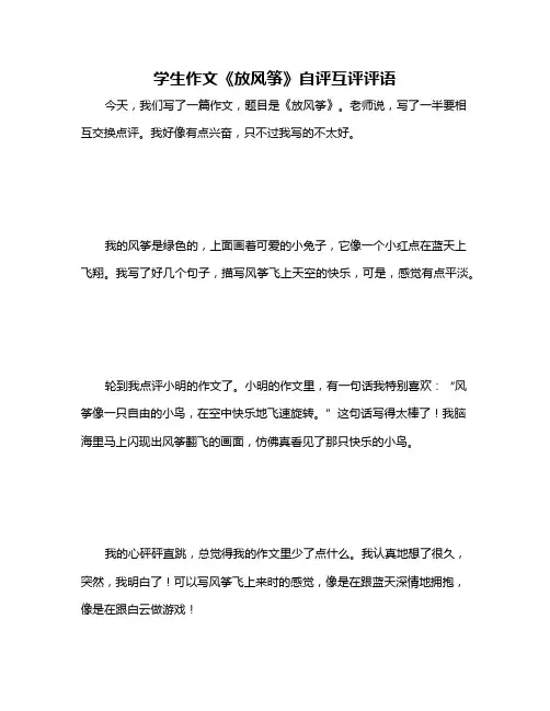 学生作文《放风筝》自评互评评语
